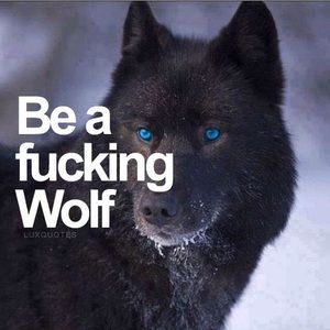 Meet your Posher, George